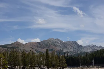 DSC_3174 (Large).JPG